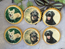 The Perfect Biscuit Gift for Dog Owners