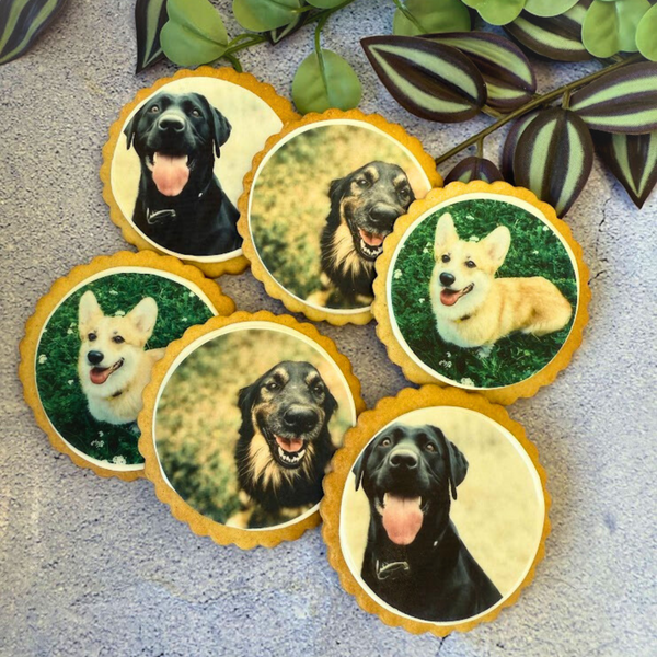 Dog biscuits with edible images of three dog breeds — a Labrador, a mixed breed, and a Corgi — on a grey surface with green leaves.